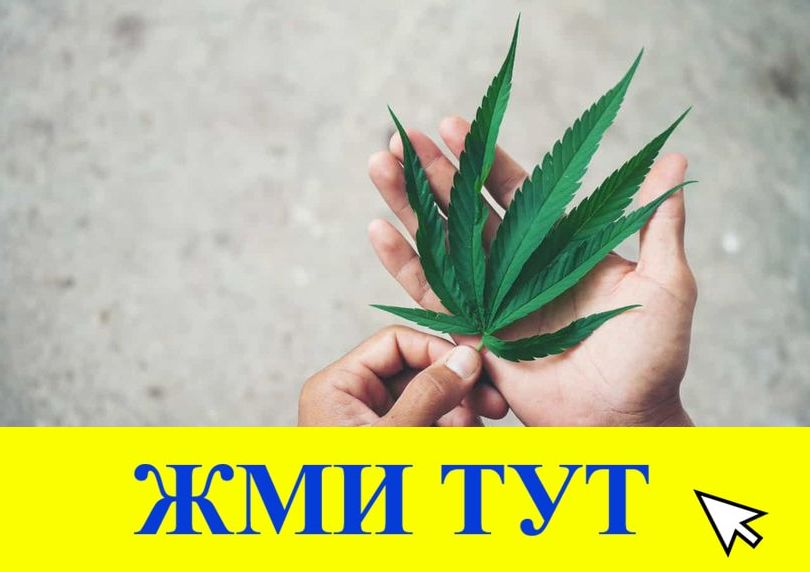 Купить наркотики в Тайшете